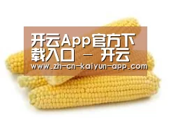 产品名称五