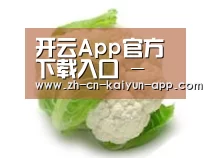 产品名称九