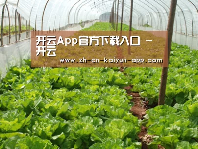 种植基地五