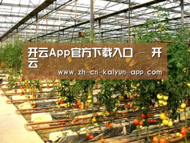 种植基地二(图1)