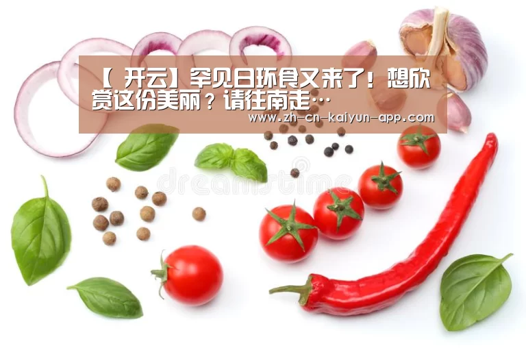 开云App官方下载入口 