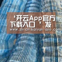 ‘开云App官方下载入口 ’发力云计算!甲骨文宣布在5个国家增设云计算区域(图4) 开云App官方下载入口