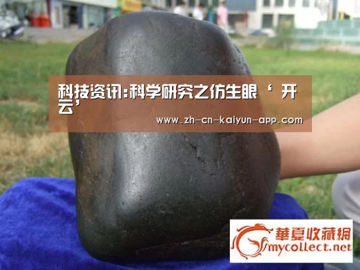 开云App官方下载入口 