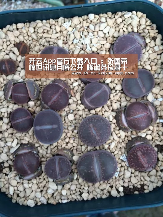 开云App官方下载入口 :张国荣惊世讯息月底公开 陈淑芬珍藏十年(图3) 开云App官方下载入口