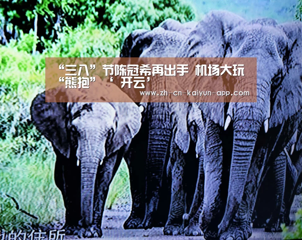 “三八”节陈冠希再出手 机场大玩“熊抱”‘ 开云’(图4) 开云App官方下载入口