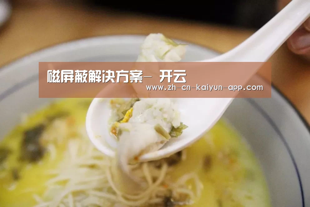 磁屏蔽解决方案- 开云(图3) 开云