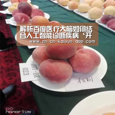 解析百度医疗大脑如何结合人工智能诊断疾病‘开云App官方下载入口 ’(图2) 开云App官方下载入口