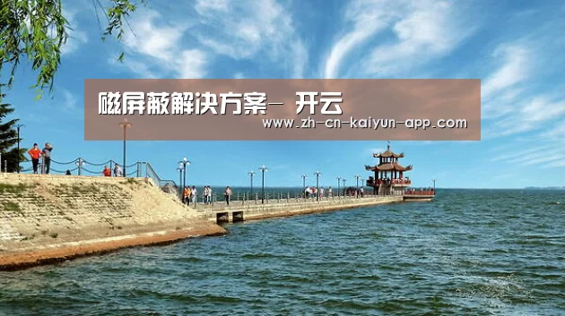 磁屏蔽解决方案- 开云(图2) 开云App官方下载入口
