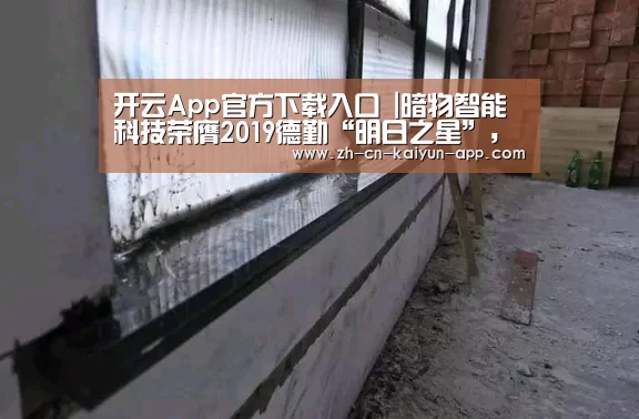 开云App官方下载入口 |暗物智能科技荣膺2019德勤“明日之星”,新一代人工智能获广泛认可(图3) 开云